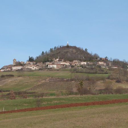 Chateau Des Aiguilles Saint-Remy-de-Chargnat Exterior photo