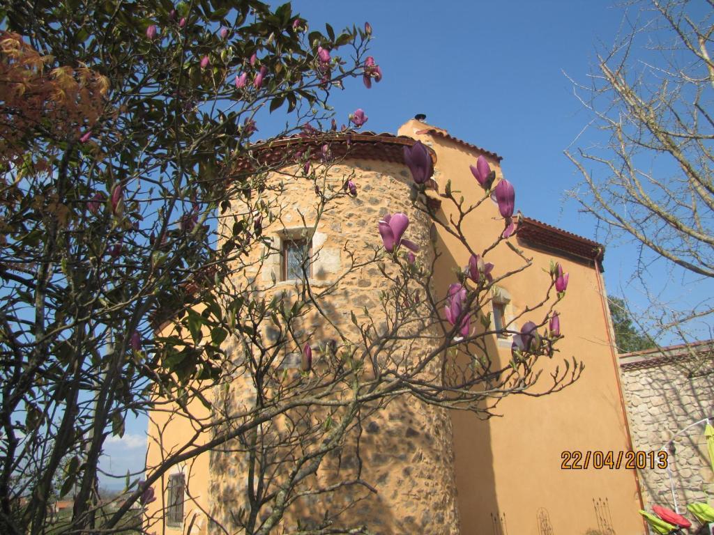 Chateau Des Aiguilles Saint-Remy-de-Chargnat Exterior photo